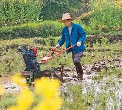 疫情防控的基本常識是什么？（疫情防控和春耕備耕兩不誤）